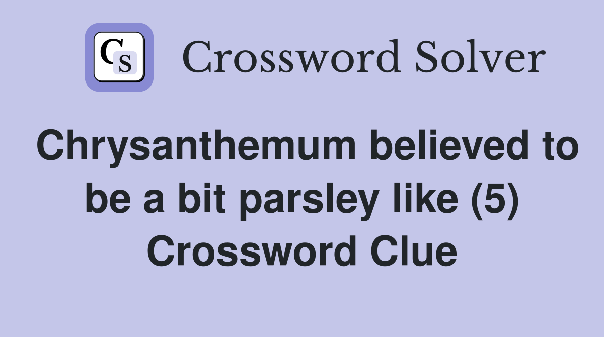 Chrysanthemum believed to be a bit parsley like (5) Crossword Clue